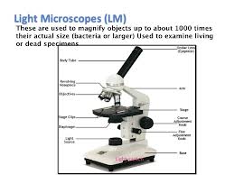 Discuss Various Types of Microscopes