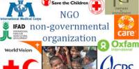 Presentation on Non Governmental Organizations