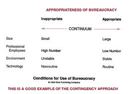 Discuss Pros and Cons of Bureaucracy