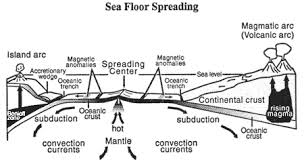Discuss on Sea Floor Evidence