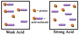 Discuss on Strong and Weak Acids