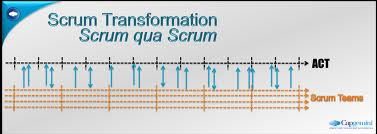 Six Steps To A Scrum Transformation