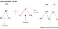 Discuss on Friedel‐Crafts Alkylation Reaction