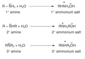 Discuss on Introduction to Amines