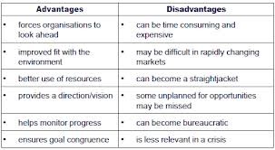 what are the disadvantages of business plan