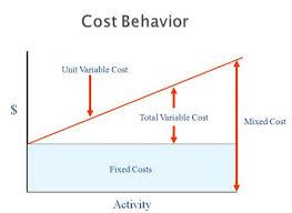 Define and Discuss on Cost Behavior