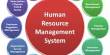 Human Resource Management Practice in Trust Bank