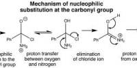 Discuss on Nucleophilic Substitution Reactions