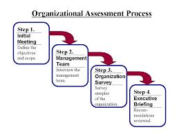 Discuss on Organizational Process