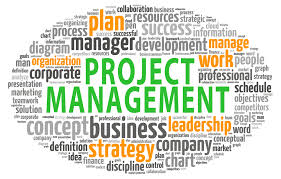 Presentation on Project Management