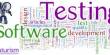 Presentation on Software Testing Techniques