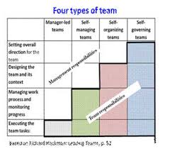 Discuss on Types of Teams