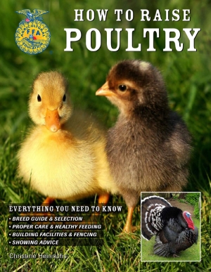 Make a Good Living by Raising Poultry