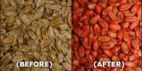 Analysis on Seed Cleaning and Seed Dressing