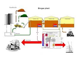 Business Plan on Bio Gas Plant