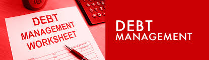 General Information about Corporate Debt Management