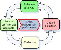 Evaluation of Credit Management System of Trust Bank