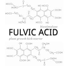 Discussed on Fulvic Acid – Vital to Plant Health