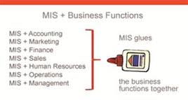 Lecture on Functional Aspects of MIS