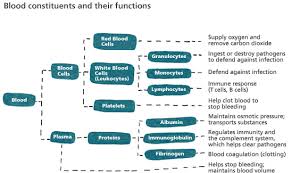 Lecture on the Functions of Blood