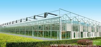 Discuss on Glass Greenhouse for Proper Nurturing of Plants