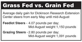 Discuss The Difference Between Grass Fed vs Grain Fed