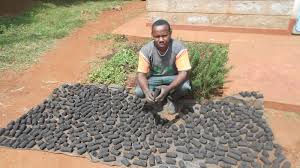 Analysis on Produce Energy With Green Briquettes