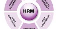 HRM Practices in Grameen Phone