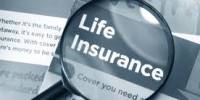 Discussed on Term Life Insurance