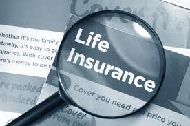 Discussed on Term Life Insurance
