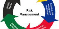 Discuss on Managing Risk in Business