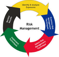 Discuss on Managing Risk in Business