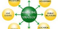 Analysis the Marketing Strategies for Small Businesses