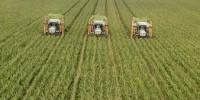 Define and Discuss on Monoculture Farming
