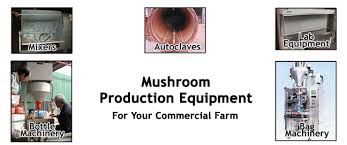 Discuss on Importance of Mushroom Cultivation Equipment