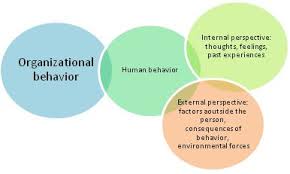 Lecture on Organizational Behavior Model