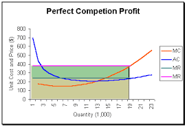 Lecture on Perfect Competition