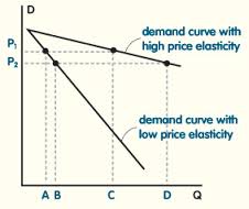 Lecture on Price Elasticity
