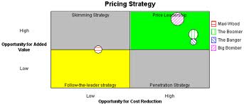 Define and Discuss on Pricing Strategy