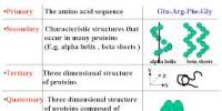 Lecture on Prediction of Protein Structure