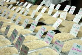 Fluctuation in Price of Rice Market