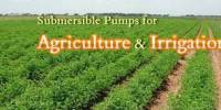 Submersible Pump  in Agricultural