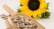 Sunflower Seeds Benefits and Machine Operating Tips
