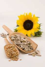Sunflower Seeds Benefits and Machine Operating Tips