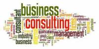 Define and Discuss on Business Consulting