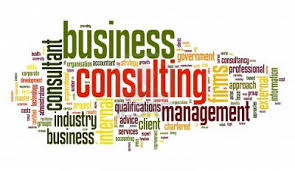 Define and Discuss on Business Consulting