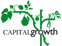 Explain Capital Growth Investment Strategy