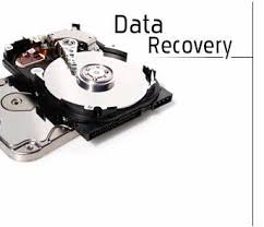 Find to Professional Data Recovery