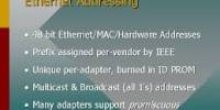 Ethernet Addressing