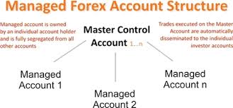Explain how to Open a Forex Account